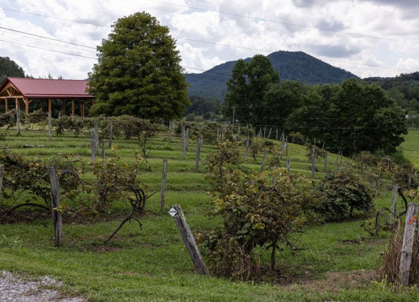 Kirkwood Winery and Isaiah Morgan Distillery, West Virginia, USA